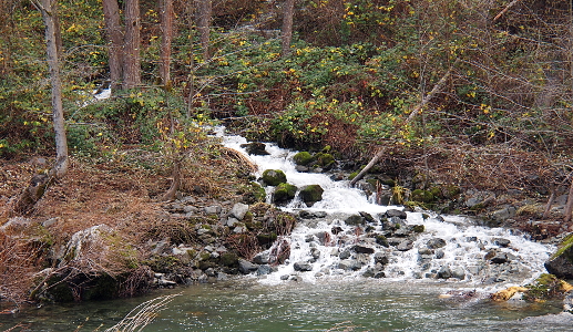 [This waterfall is only about five vertical feet but it extends down a hillside and produces much white foam as it thrusts through and around the rocks leading into the river. Many yellow leaves dot the green of the shrubbery.]